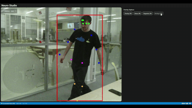 Neuro Studio live inference visualisation